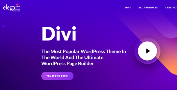 Divi - Overall Best WordPress Theme