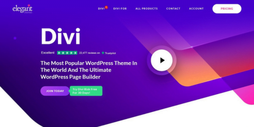 Divi E-Commerce WordPress theme