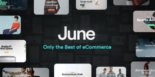 June E-Commerce WordPress theme